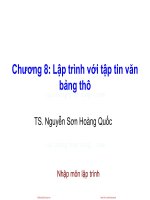Bài giảng Nhập môn lập trình: Chương 8 - Nguyễn Sơn Hoàng Quốc