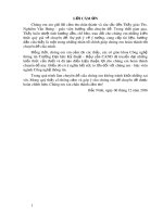 Đề tài: Nghiên cứu kỹ thuật mô phỏng lửa