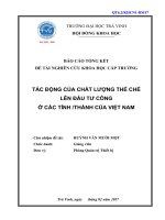 Báo cáo nghiên cứu khoa học cấp trường:  Tác động của chất lượng thể chế lên đầu tư công ở các tỉnh  thành của Việt Nam