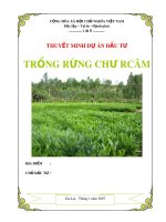 Tư vấn lập dự án miễn phí - Trồng rừng Chư Rcăm