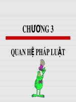 Bài giảng Pháp luật đại cương - Chương  3: Quan hệ pháp luật