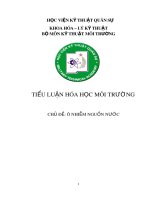 Tiểu luận hóa học môi trường: Ô nhiễm nguồn nước