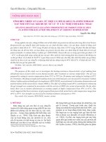 Tính bền nhiệt của gel từ thịt cá mó Scarus flavipectoralis xay nhuyễn sau khi được xử lý ở các nhiệt độ khác nhau