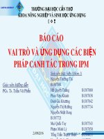 Bài thuyết trình nhóm: Báo cáo vai trò và ứng dụng các biện pháp canh tác trong IPM