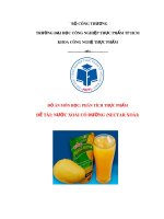 Đồ án môn học Phân tích thực phẩm: Nước Xoài có đường (Nectar Xoài)