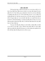 Đồ án phân tích thực phẩm: Tìm hiểu về các chỉ tiêu phân tích chất lượng Nho