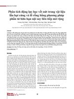 Phân tích động lực học vết nứt trong vật liệu lẫn hạt cứng và lỗ rỗng bằng phương pháp phần tử hữu hạn nội suy liên tiếp mở rộng