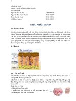 Bài thảo luận nhóm: Thực phẩm đẹp da