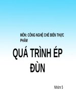 Bài thuyết trình nhóm: Công nghệ chế biến thực phẩm - Quá trình ép đùn