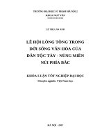 Lễ hội lồng tồng trong đời sống văn hóa của dân tộc tày   nùng miền núi phía bắc (2017) 