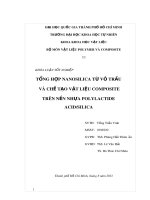 Khóa luận tốt nghiệp: Tổng hợp Nanosilica từ vỏ trấu và chế tạo vật liệu Composite trên nền nhựa Polylactide Acid/Silica
