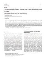 Anepidemiological study of feline and canine dermatophytoses in japan