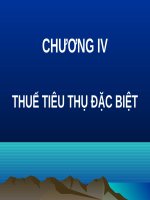 Bài giảng Chương IV: Thuế tiêu thụ đặc biệt