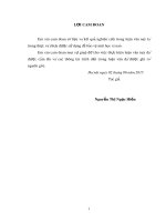 Khóa luận tốt nghiệp: Nghiên cứu chuỗi giá trị rau cải bắp trên trên địa bàn xã Văn Đức, huyện Gia Lâm