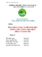 Báo cáo chuyên đề Công nghệ sinh học môi trường: Ứng dụng công nghệ sinh học trong xử lí kim loại nặng bằng vi sinh vật