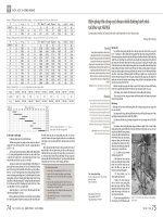 Biện pháp thi công cọc khoan nhồi đường kính nhỏ tại khu vực Hà Nội