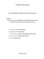 Báo cáo kết quả nghiên cứu đề tài cấp cơ sở: Hành vi nguy cơ lây nhiễm HIV trong nhóm nam quan hệ tình dục đồng giới (MSM) tại Vĩnh Phúc năm 2014