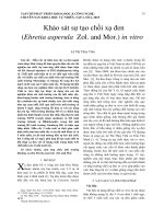 Khảo sát sự tạo chồi xạ đen (Ehretia asperula Zol. and Mor.) in vitro