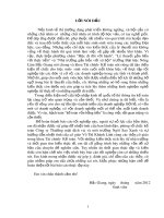 Báo cáo thực tập tốt nghiệp: Kế toán vốn bằng tiền tại Công ty Thương mại dịch vụ và môi trường Ngôi Sao Xanh