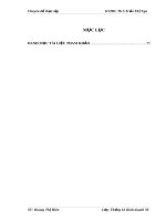 Chuyên đề thực tập: Phân tích thống kê tổng sản phẩm quốc nội Việt Nam giai đoạn 2005–2011