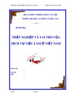 Tiểu luận môn Thị trường lao động: Thất nghiệp và vai trò của dịch vụ việc làm ở Việt Nam