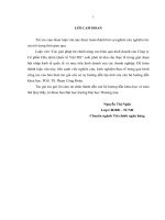 luận văn thạc sĩ Các giải pháp tài chính nâng cao hiệu quả kinh doanh của Công ty Cổ phần Dầu nhờn Quốc tế Việt Mỹ