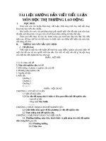 Tài liệu hướng dẫn viết tiểu luận môn học Thị trường lao động