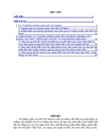 Bài tiểu luận: Tư tưởng nhân văn Hồ Chí Minh