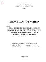Khóa luận tốt nghiệp: Phân tích hiệu quả hoạt động sản xuất kinh doanh của Công ty cổ phần Tập đoàn Ma San thông qua phân tích một số chỉ tiêu tài chính