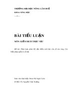 Bài tiểu luận: Phân loại, phân bố, đặc điểm sinh học của cỏ sâu vàng - Các biện pháp quản lý cỏ dại