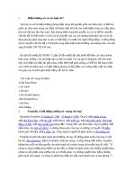 Bài tiểu luận môn: Kỹ thuật điện cao áp