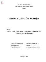 Khóa luận tốt nghiệp: Phân tích tình hình tài chính tại Công ty Cổ phần Dầu khí An Pha