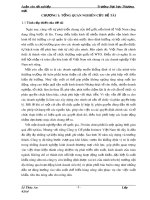 Luận văn Tốt nghiệp: Hoàn thiện cơ cấu tổ chức và phân quyền của Công ty Cổ phần Intimex trên địa bàn Hà Nội