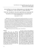 Ảnh hưởng của các quá trình động lực đến biến động địa hình đáy vùng ven bờ cửa sông Mê Kông