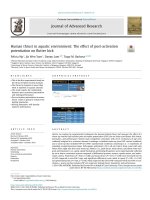 Human thrust in aquatic environment: The effect of post-activation potentiation on flutter kick