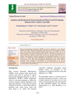 Isolation and biochemical characterization of plant growth promoting bacteria from a maize crop field