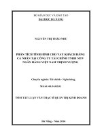 Tóm tắt Luận văn Thạc sĩ Tài chính Ngân hàng: Phân tích tình hình cho vay khách hàng cá nhân tại Công ty Tài chính TNHH MTV Ngân hàng Việt Nam Thịnh Vượng