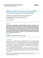 Effect of Alkali Treatment on Heavy Metals Adsorption Capacity of Sewage Sludge