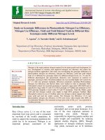 Study on genotypic differences in photosynthetic nitrogen use efficiency, nitrogen use efficiency, yield and yield related traits in different rice genotypes under different nitrogen levels