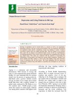 Depression and living patterns in old age