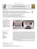 Natural rubber/reduced-graphene oxide composite materials: Morphological and oil adsorption properties for treatment of oil spills