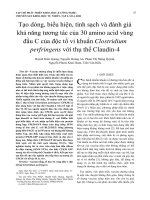 Tạo dòng, biểu hiện, tinh sạch và đánh giá khả năng tương tác của 30 amino acid vùng đầu C của độc tố vi khuẩn Clostridium perfringens với thụ thể Claudin-4