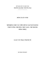 Mở rộng cho vay tiêu dùng tại Ngân hàng TMCP Công thương Việt Nam  Chi nhánh Sông Nhuệ