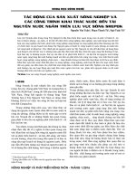 Tác động của sản xuất nông nghiệp và các công trình khai thác nước đến tài nguyên nước ngầm trên lưu vực sông Srepok