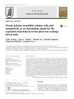 Porous polymer monolithic columns with gold nanoparticles as an intermediate ligand for the separation of proteins in reverse phase-ion exchange mixed mode