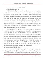 Tiểu luận: Tội đánh bạc trong luật hình sự Việt Nam