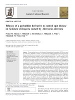 Efficacy of a pyrimidine derivative to control spot disease on Solanum melongena caused by Alternaria alternata