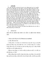 Đề tài tiểu luận: Một số sâu bệnh hại trên cây sắn và biện pháp phòng trừ hiệu quả