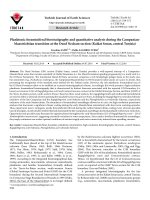 Planktonic foraminiferal biostratigraphy and quantitative analysis during the CampanianMaastrichtian transition at the Oued Necham section (Kalâat Senan, central Tunisia)