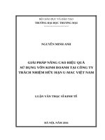 luận văn thạc sĩ Giải pháp nâng cao hiệu quả sử dụng vốn kinh doanh tại Công ty trách nhiệm hữu hạn UMac Việt Nam